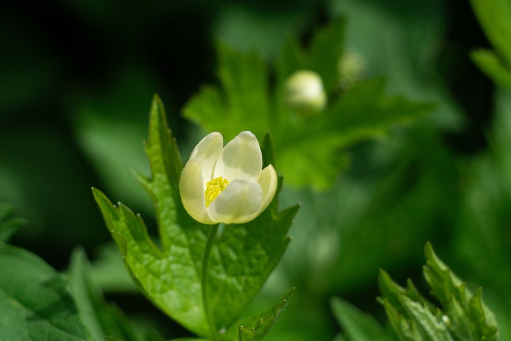 Photograph by Ильшат Абдуллин