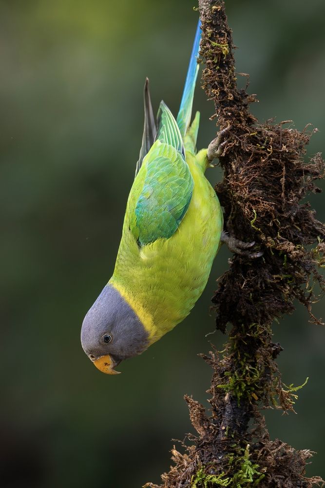Photograph by Pritam Mandal