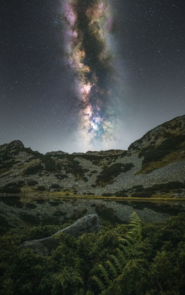 Photograph by Dimitar Titov