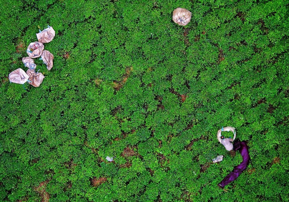 Photograph by amir ali navadeh shahla