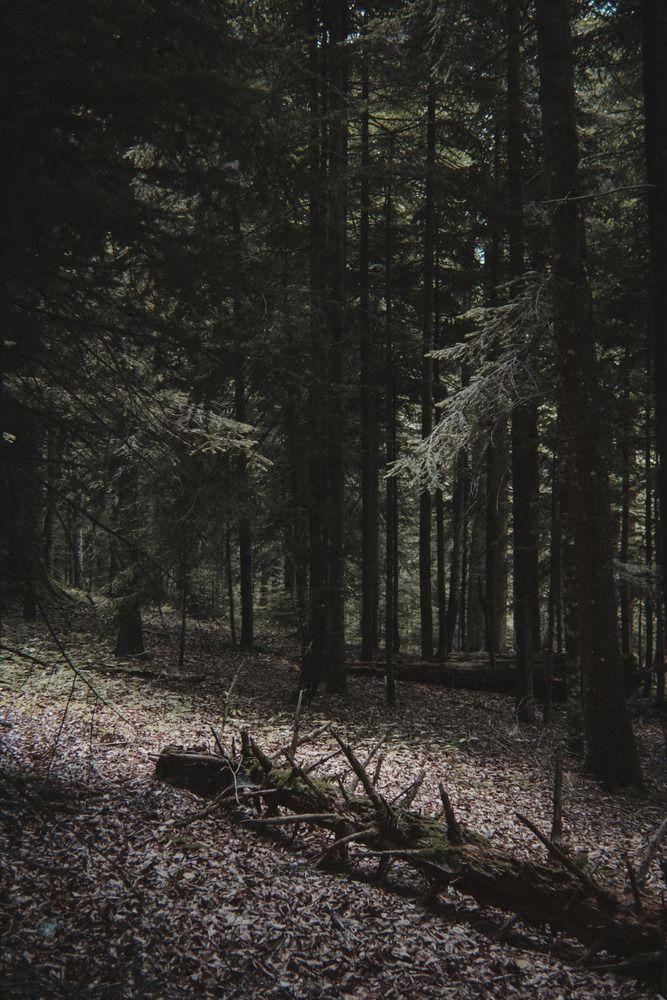 Photograph by Виктория