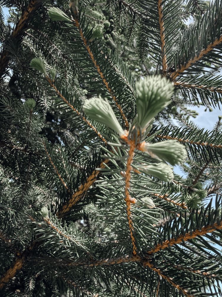 Photograph by Анна Гусева