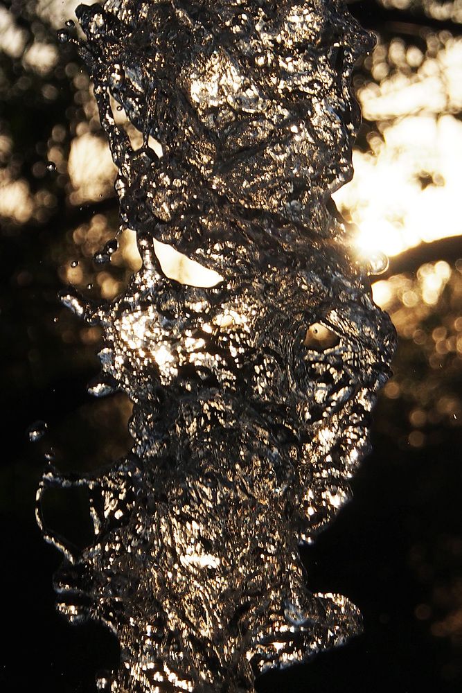 Photo #13602212