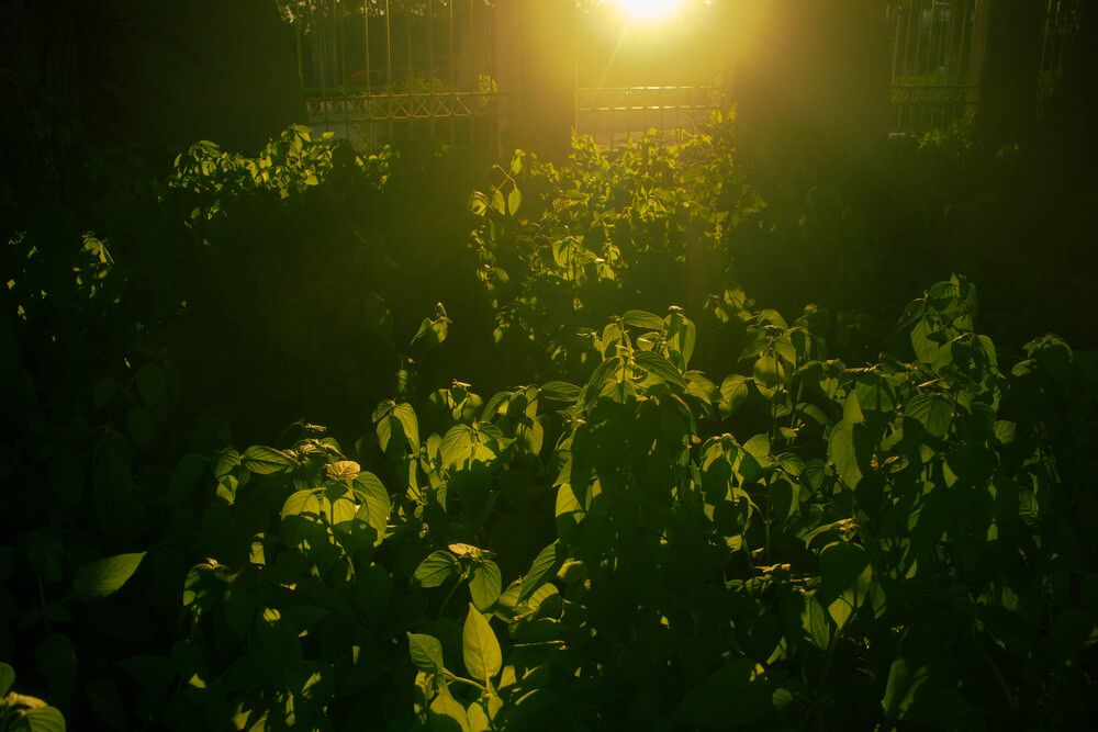 Photograph by Huy Hoang Do