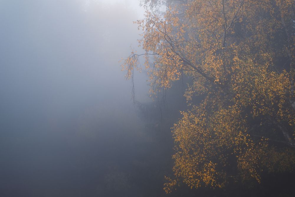 Photograph by Dimitar Titov