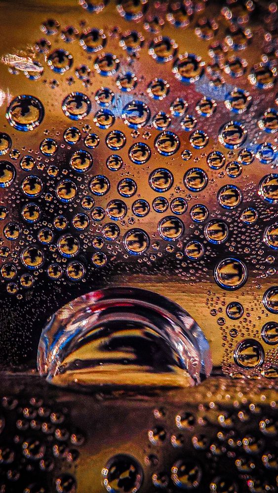 Photograph by Ehsan Fathi