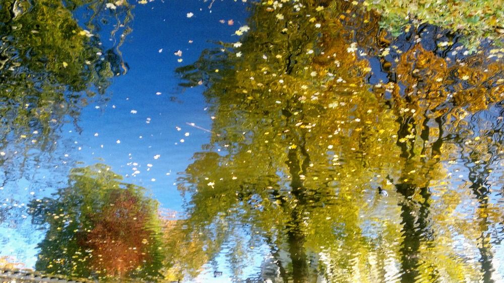 Photograph by Елена Сушкова