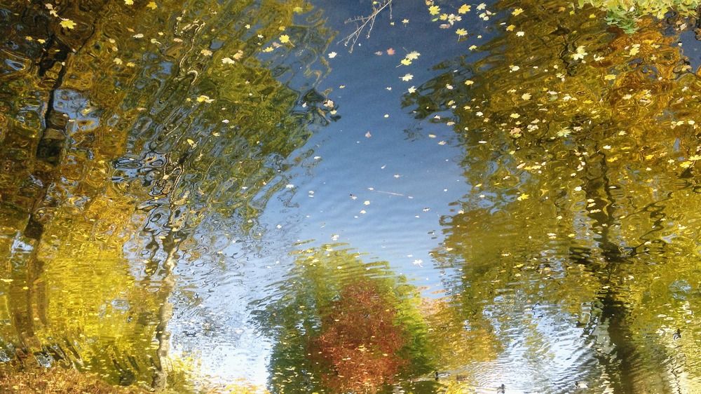 Photograph by Елена Сушкова