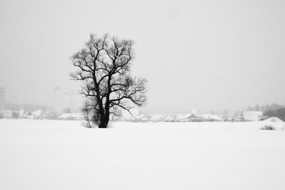 Photograph by Никита Харитонов