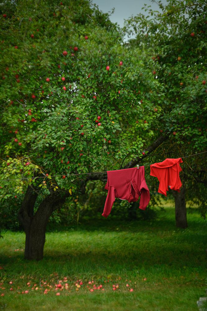 Photograph by Emilija Juškovė