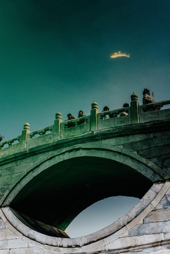 Photograph by Liu yingjie