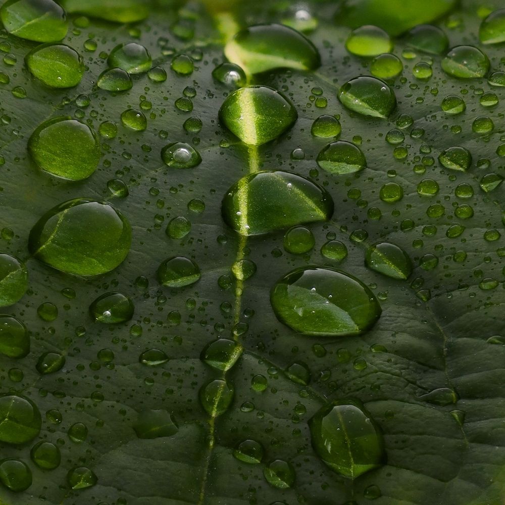 Photograph by Igor Biruck