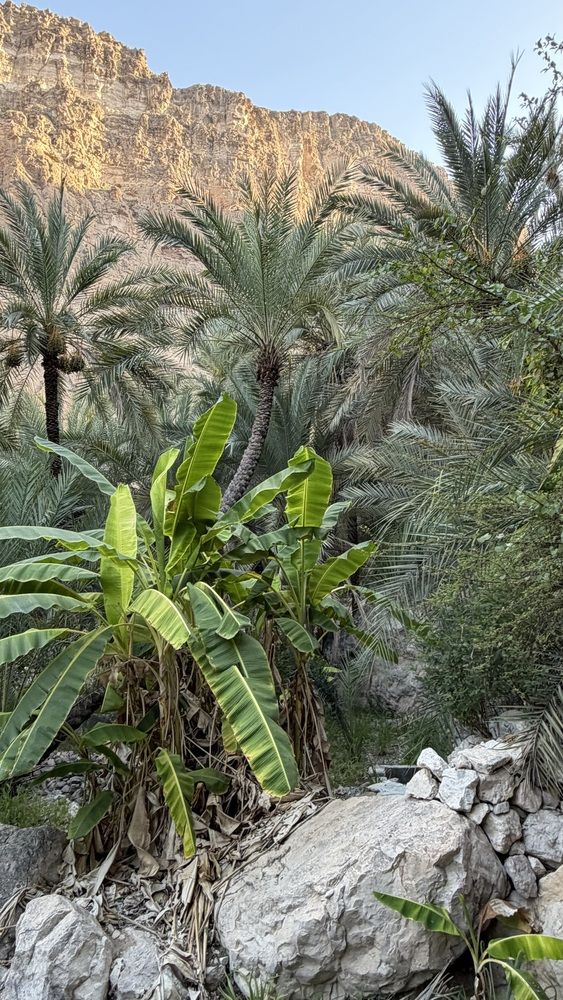 Фотография автора Waleed Yousuf Alwahaibi