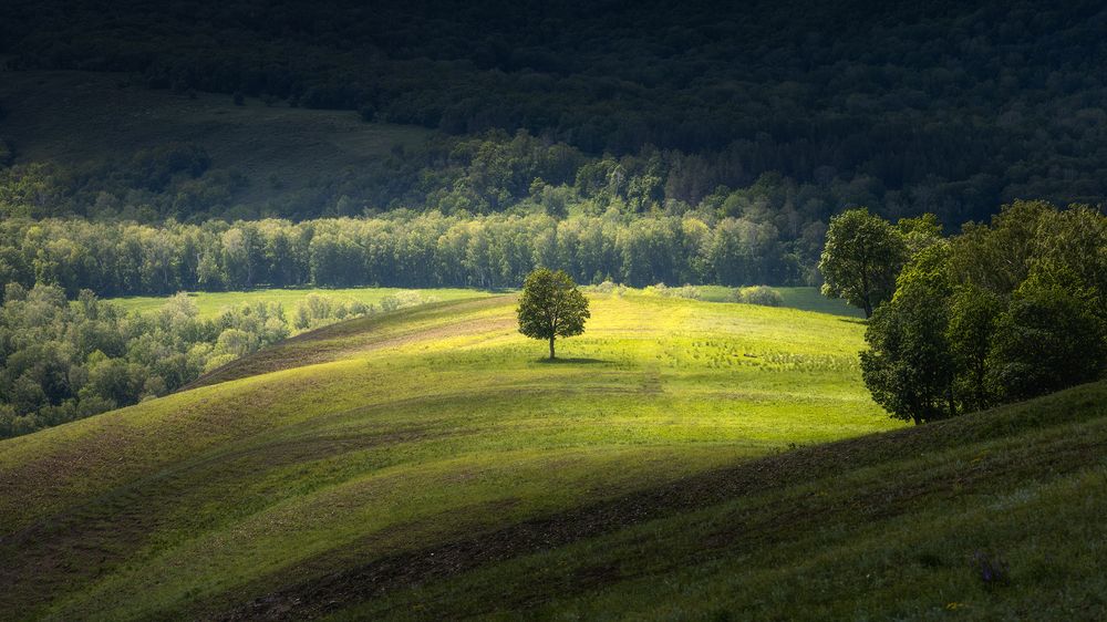 Photograph by Татьяна Бирюкова