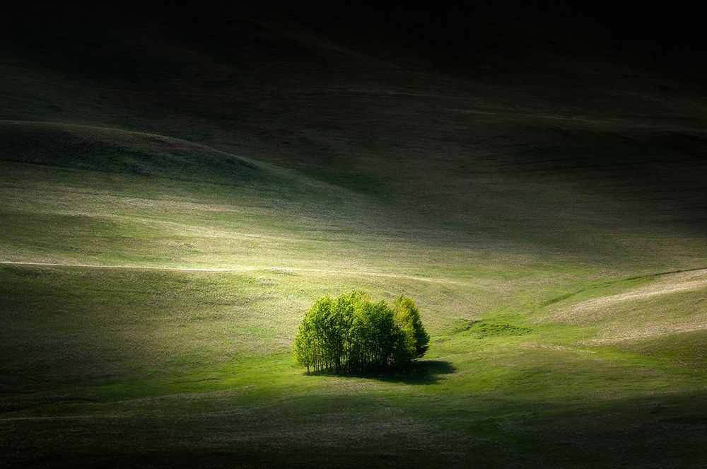 Photograph by Татьяна Бирюкова