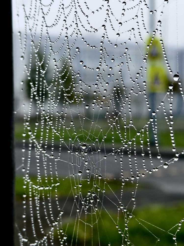 Photograph by Дина Чехова