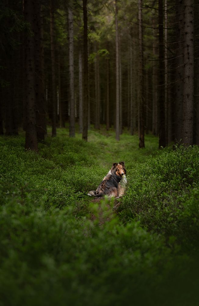 Photograph by Jieyu Xiong