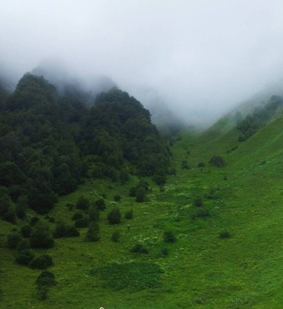 Photograph by Олеся Белова