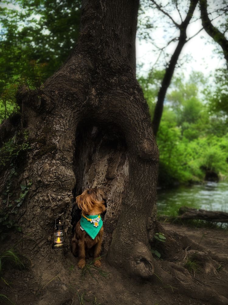Photograph by Ирина Корх