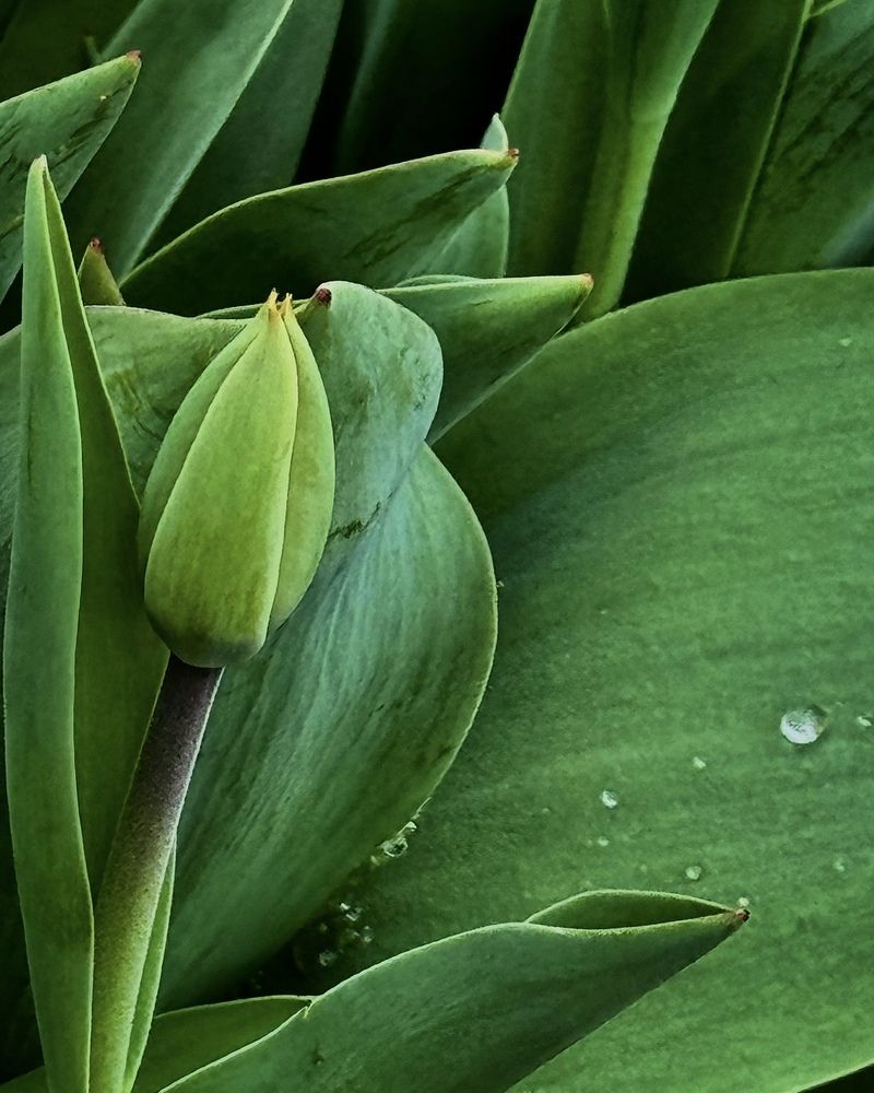 Photograph by Галина Шиманцова
