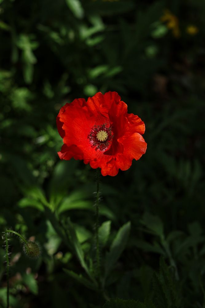 Photograph by Valeriya Klets