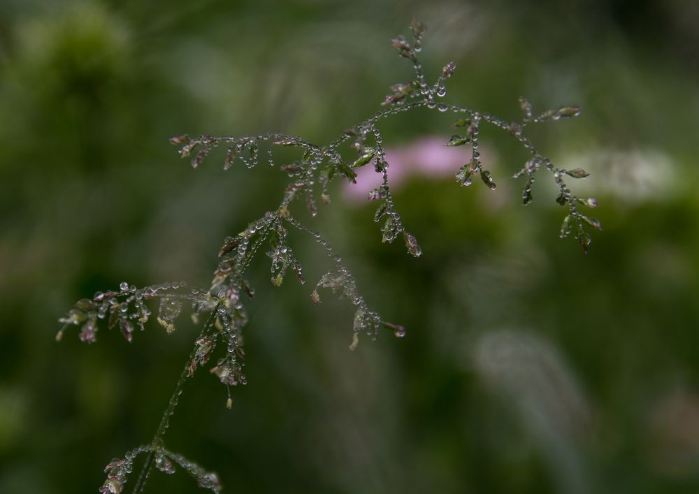 Photograph by Людмила Сливкина