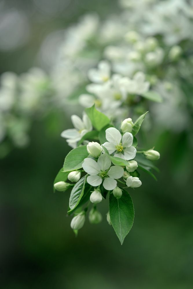 Photograph by Людмила Завьялова