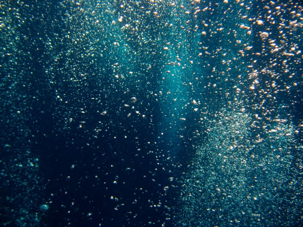Photograph by Светлана Стрельцова