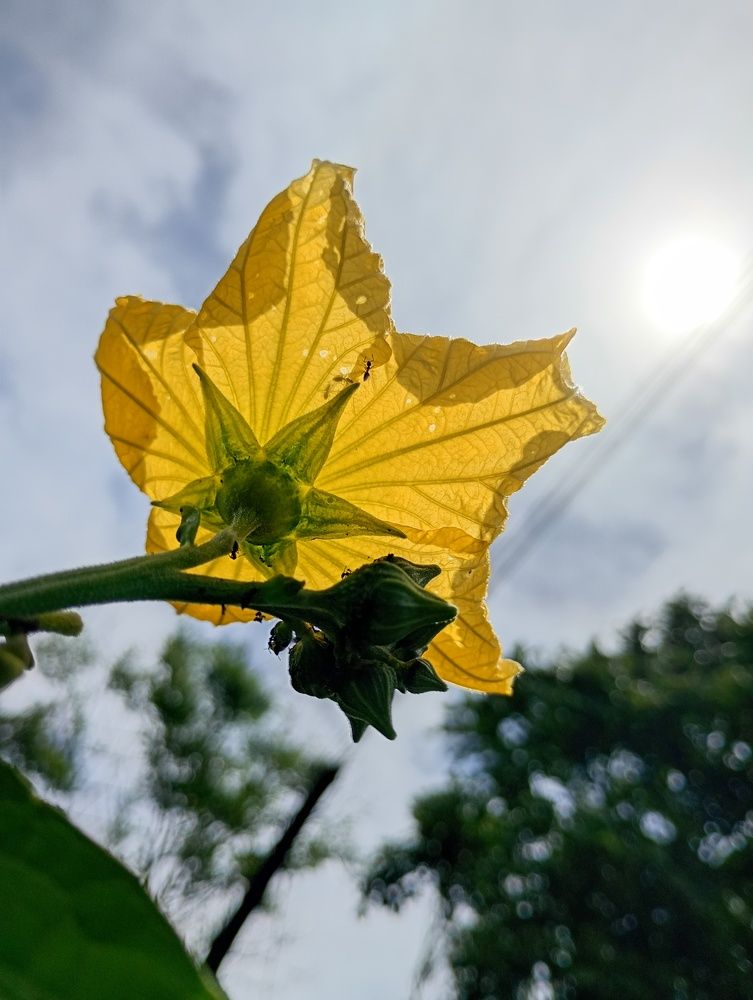 Photograph by lahiru sandaruwan