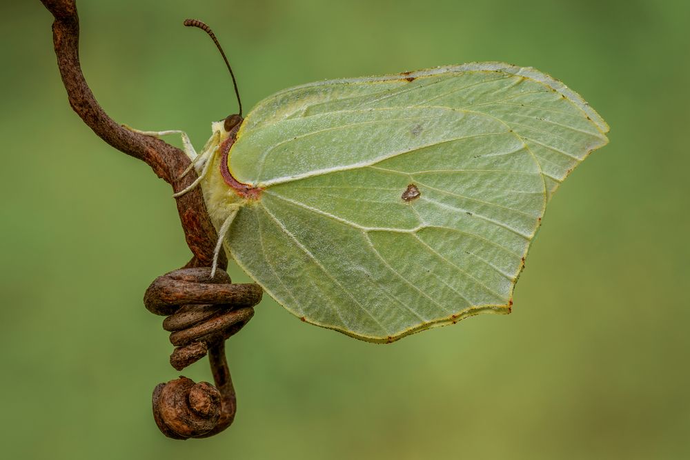 Photograph by Sara Jazbar