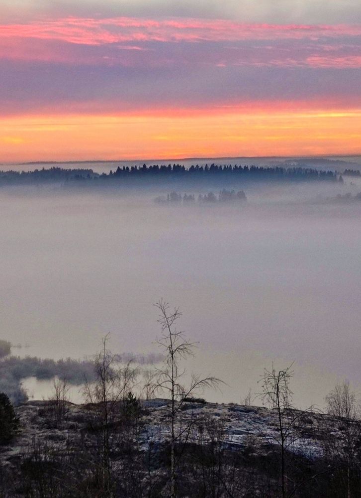 Photograph by Онищук Татьяна