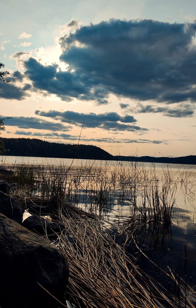 Photograph by Онищук Татьяна
