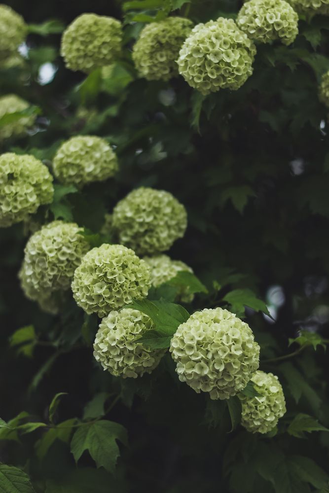 Photograph by Соболева Юлия