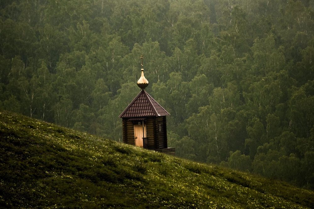 Фотография автора Анастасия Белоусова