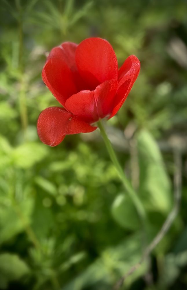 Photograph by Марина Козлова