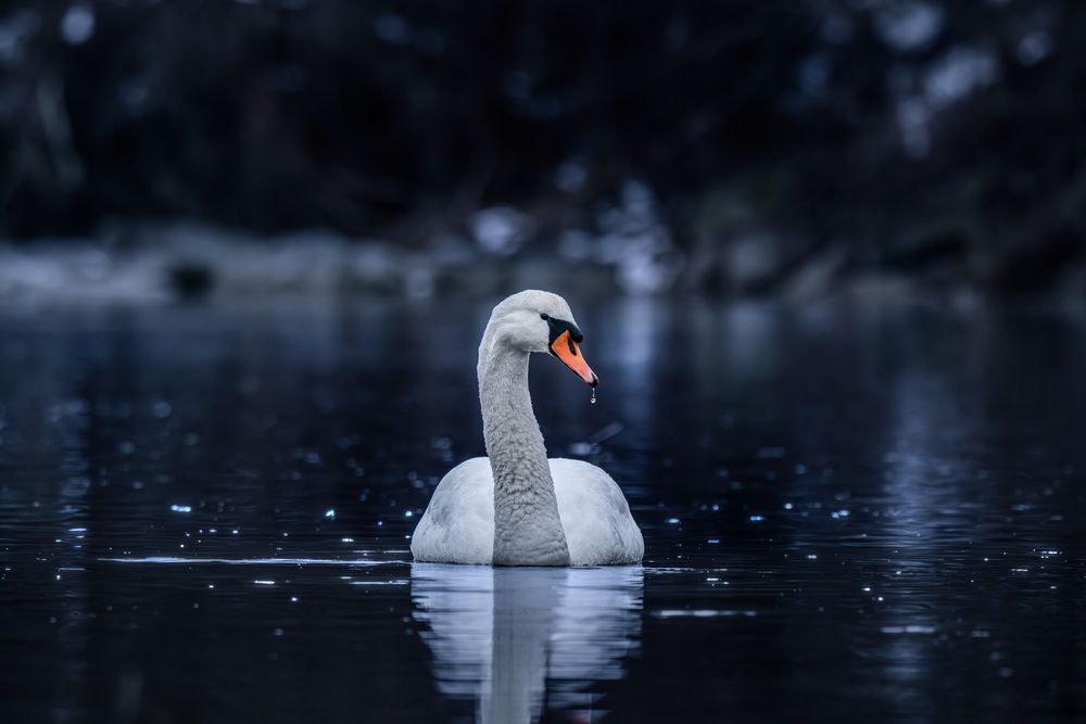 Photograph by Henriett Kmety (Heni)
