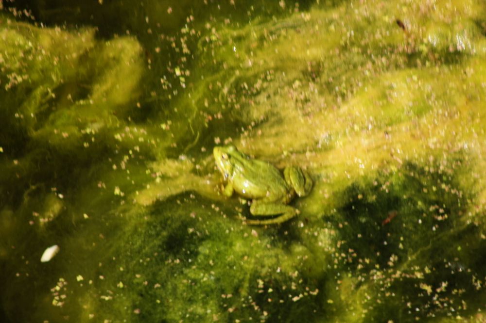 Photograph by Елена Чурынина