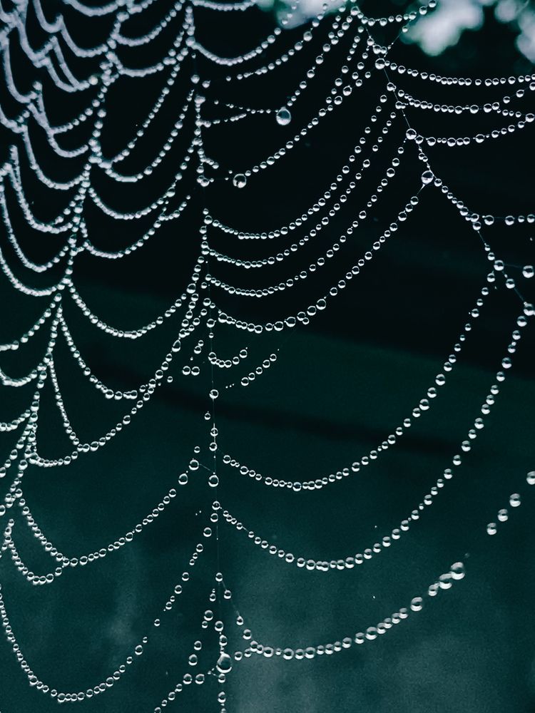 Фотография автора Кладкевич Оксана