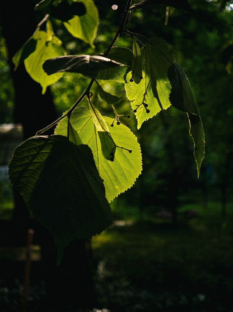 Photograph by Наталья Фирсова