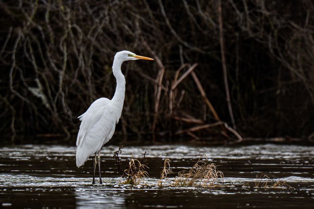 Photograph by Henriett Kmety