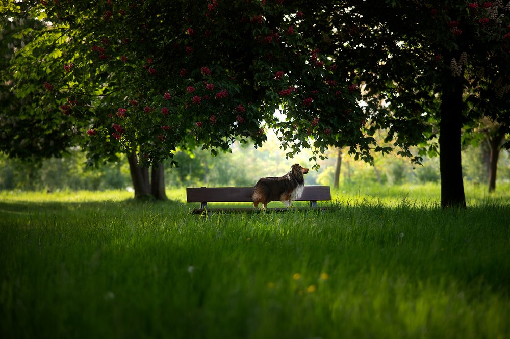 Photograph by Jieyu Xiong