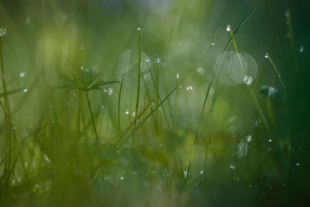 Photograph by Волынский Виктор