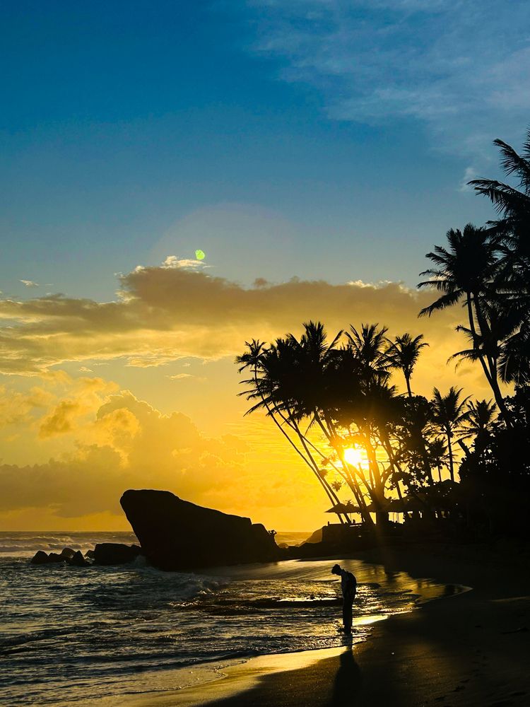 Golden Serenity by the Shore