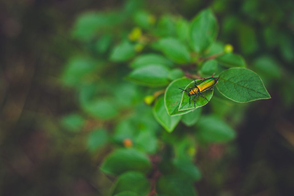 Photograph by Алексей