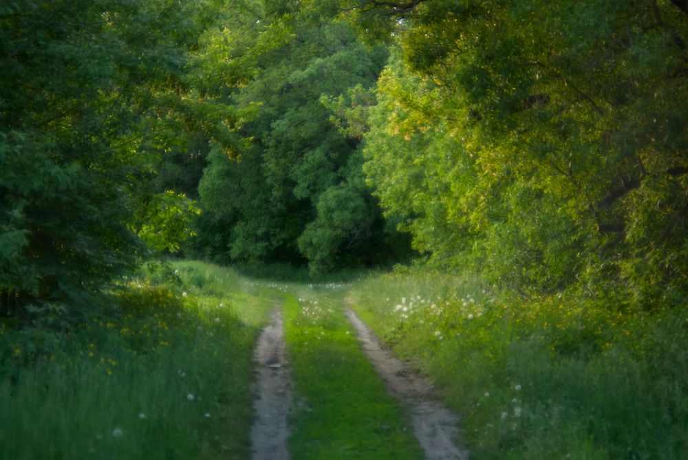 Photograph by Александр Мордовин