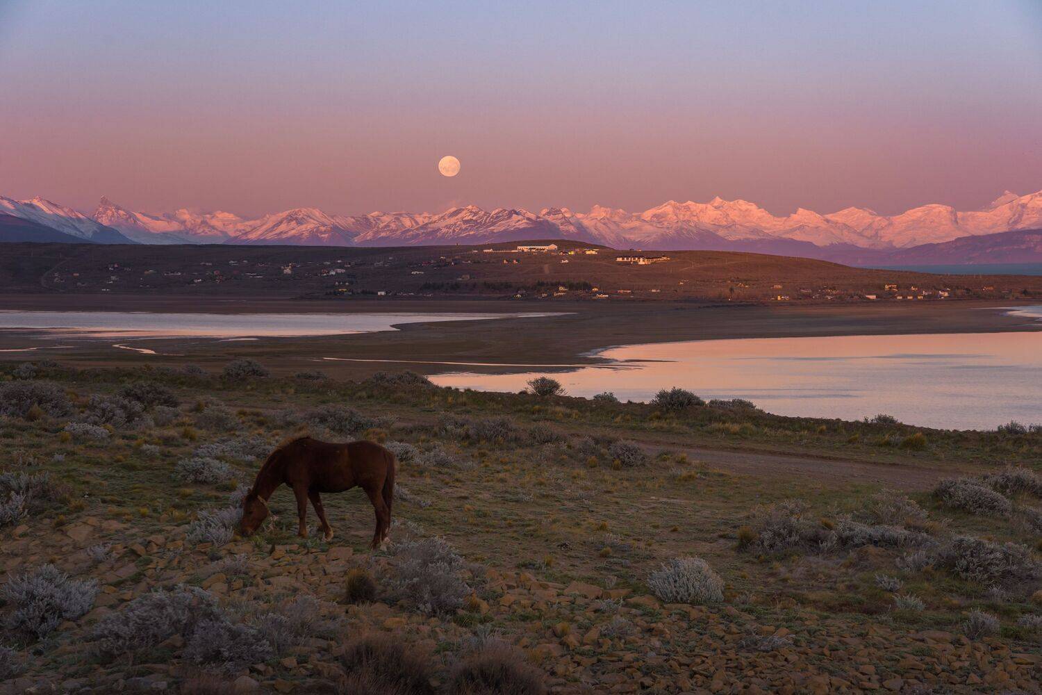 El calafate, Argentina