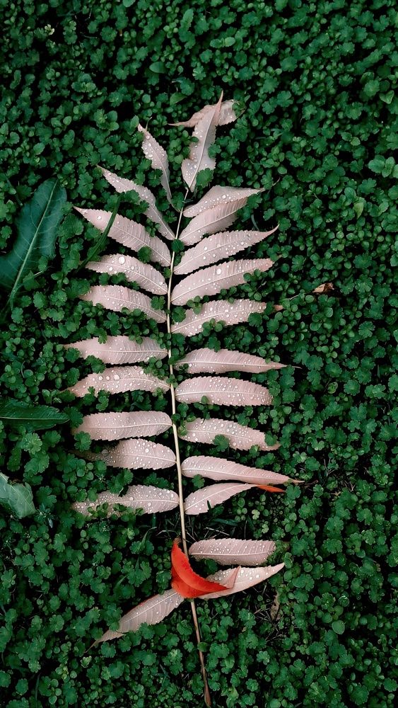 Photograph by Margarita Teterkina