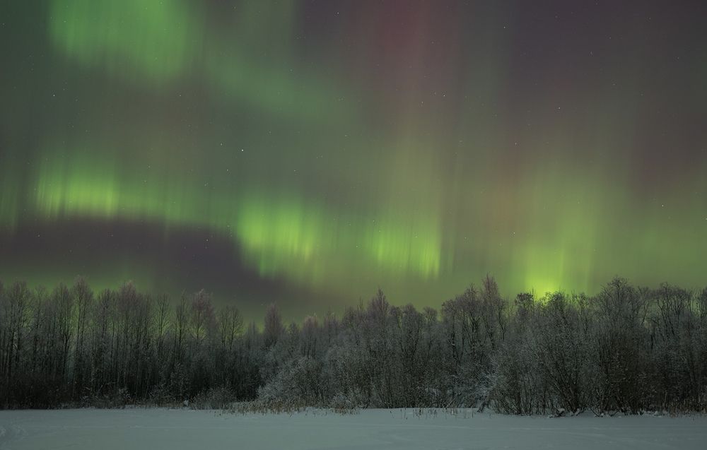 Photograph by Валентина Ивашова