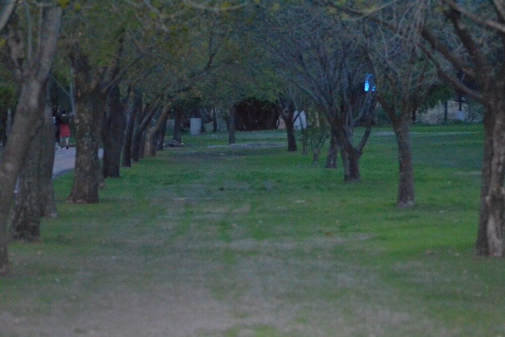 Photograph by Pablo Cesar Gonzalez Landeros