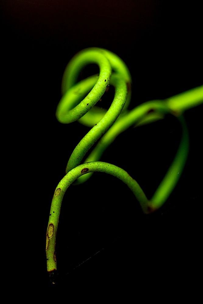 Photograph by Germán Garibay